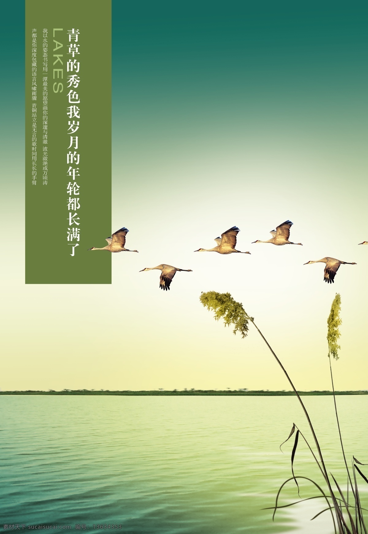湖面 美景 大雁 分层 分层素材 空旷 蓝天 芦苇 绿色 psd源文件