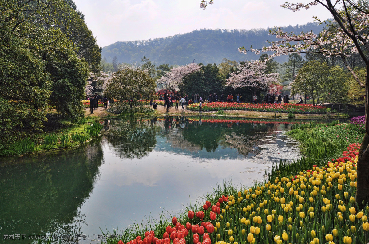 春光 春季 春色 春天 国内旅游 河畔 湖面 花开 太子湾公园 溪流 流水 山水 繁花锦束 园林 园艺 杭州西湖 太子湾 公园 花展 旅游摄影 psd源文件