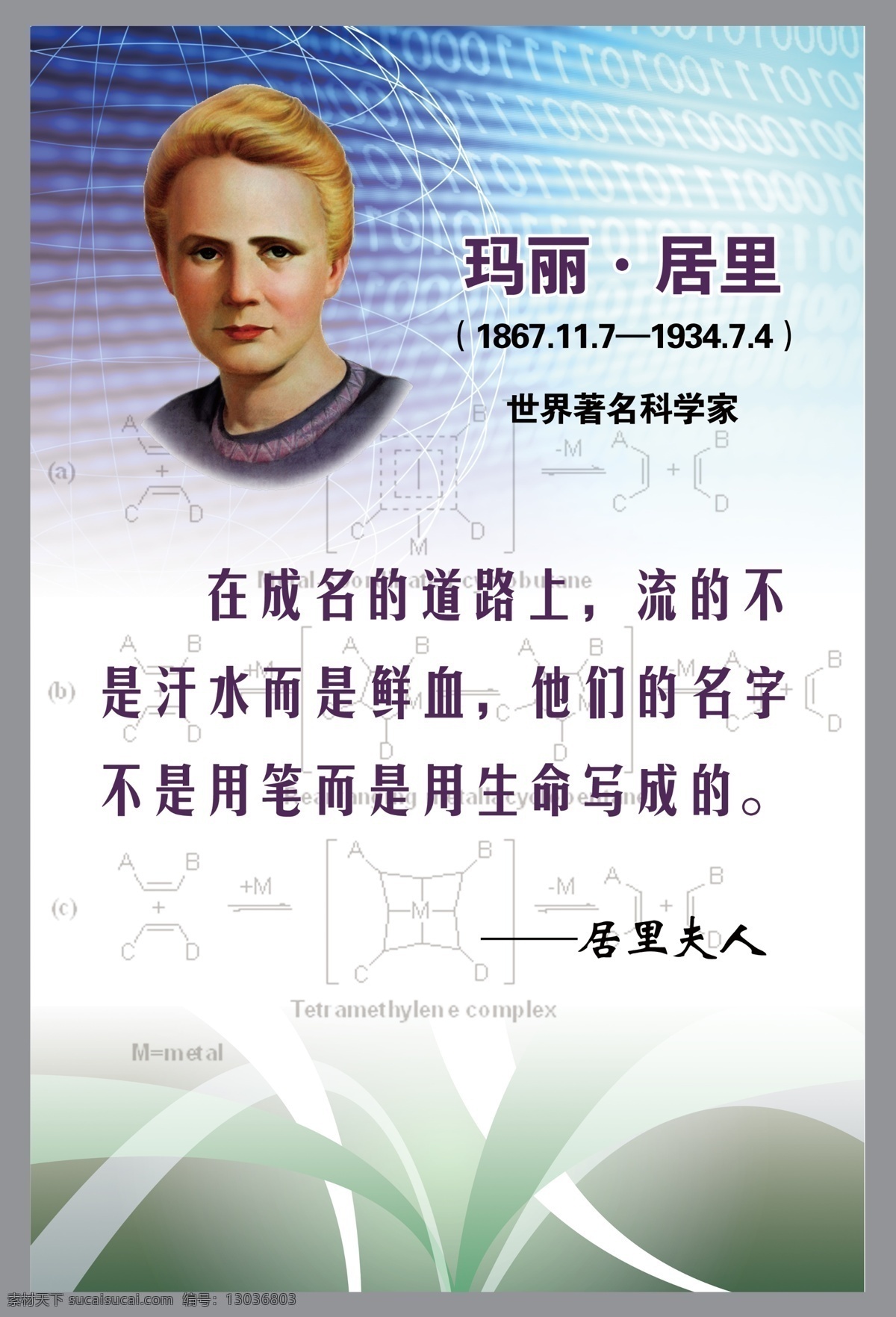 居里夫人 名人名言 名言警句 背景 励志名言 学校 展板 教育 科学家 展板模板 广告设计模板 源文件