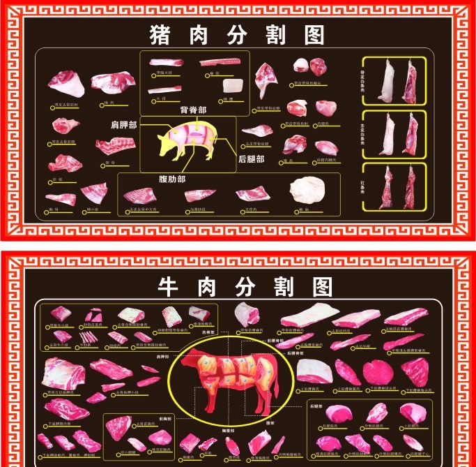 超市 肉 档 分割 图 猪肉分割 牛肉分割 分解 猪肉 牛肉 矢量