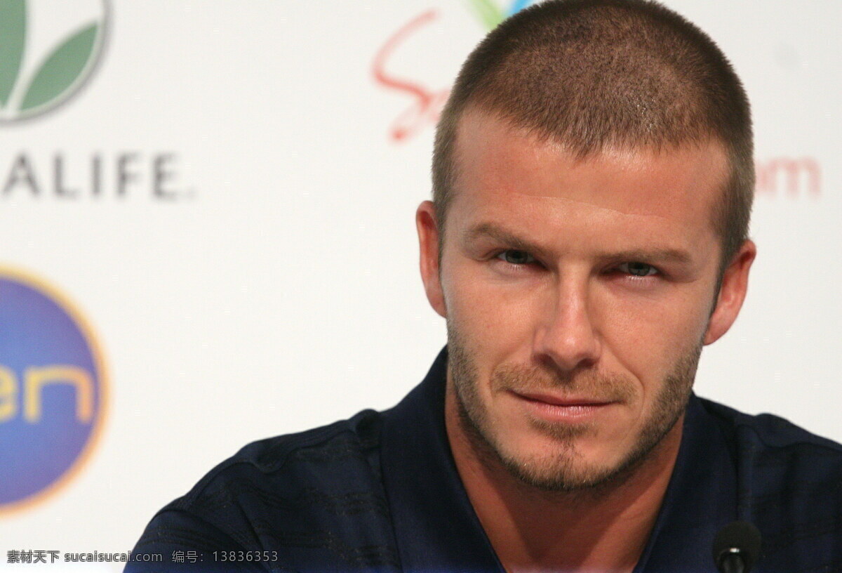 足球明星 大卫 贝克汉姆 david beckham 英格兰球星 前皇马球星 欧洲型男 明星偶像 人物图库