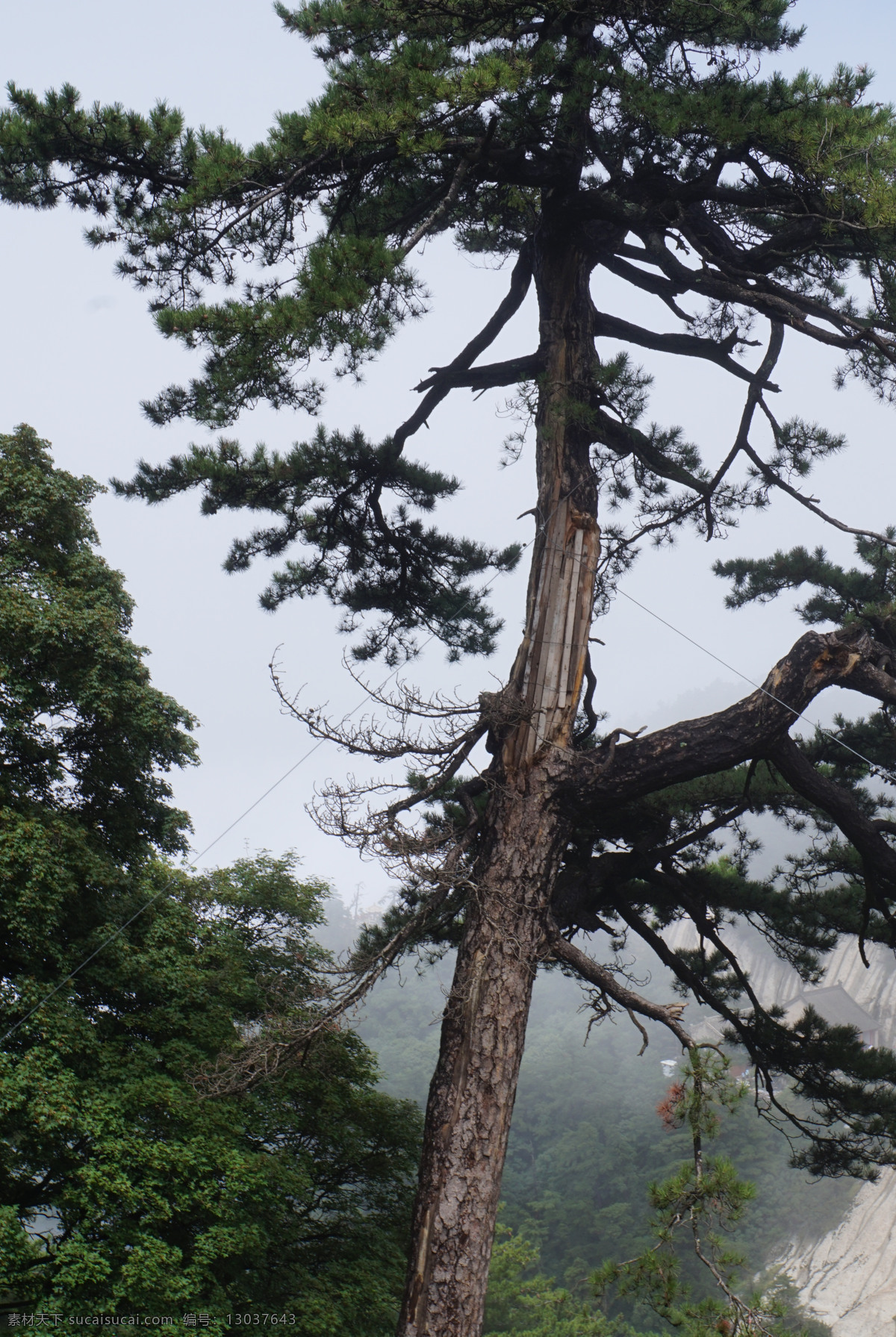 唯美华山 唯美 风景 风光 旅行 自然 陕西 渭南 华山 山 西岳华山 旅游摄影 国内旅游