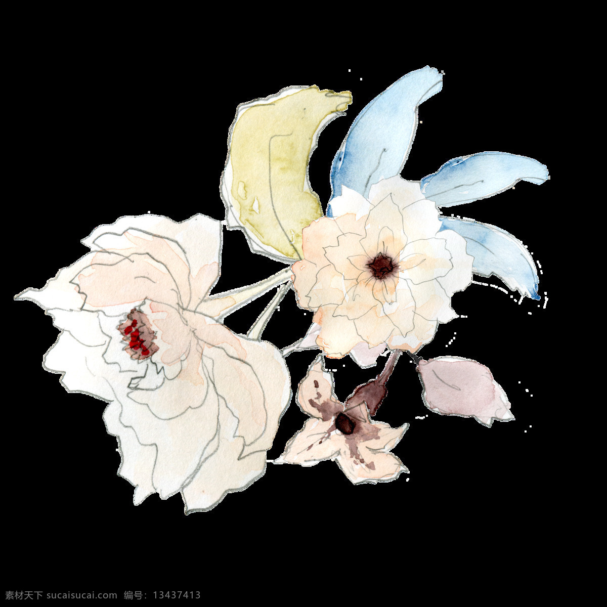 白兰 花束 透明 装饰 白色 花朵 免扣素材 透明素材 装饰图案