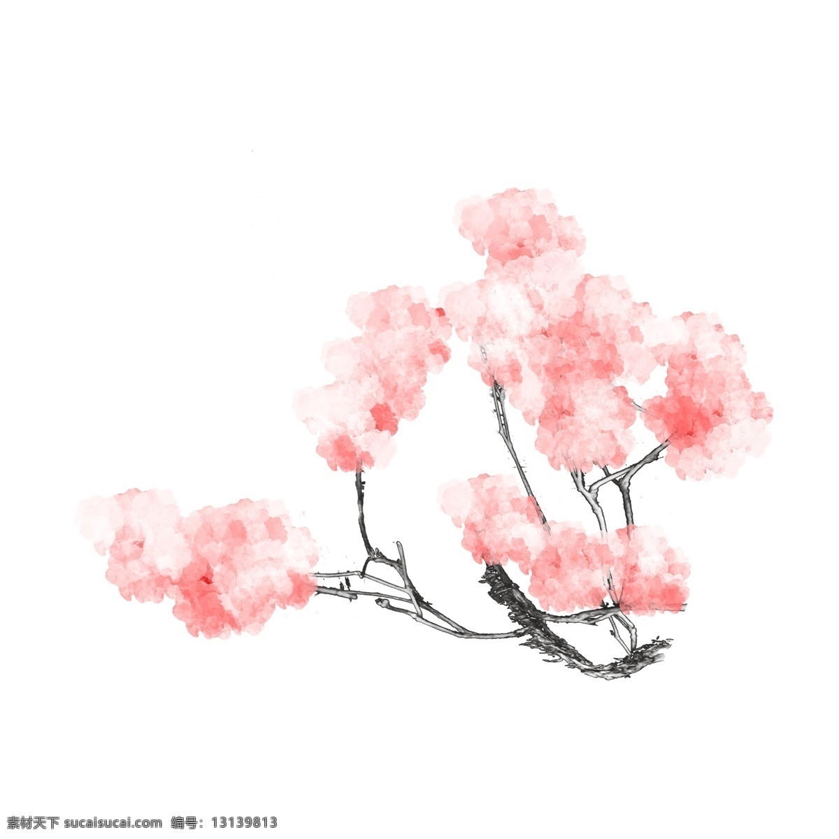 春夏 樱花 枝 原创 樱花枝 樱花树 免抠 透明底 海报装饰 平面装饰 通用 彩绘 无背景 小清新 手绘樱花