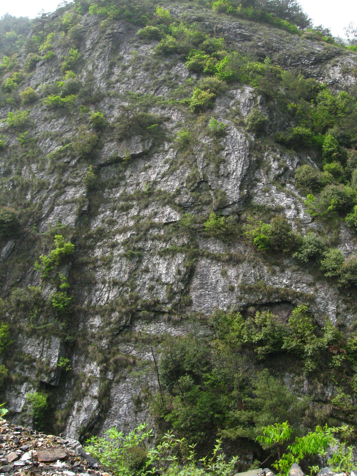 山中 岩壁 摄影图片 彩色图片 绿色 石壁 树 竖图 植物 中国地区 风景 生活 旅游餐饮