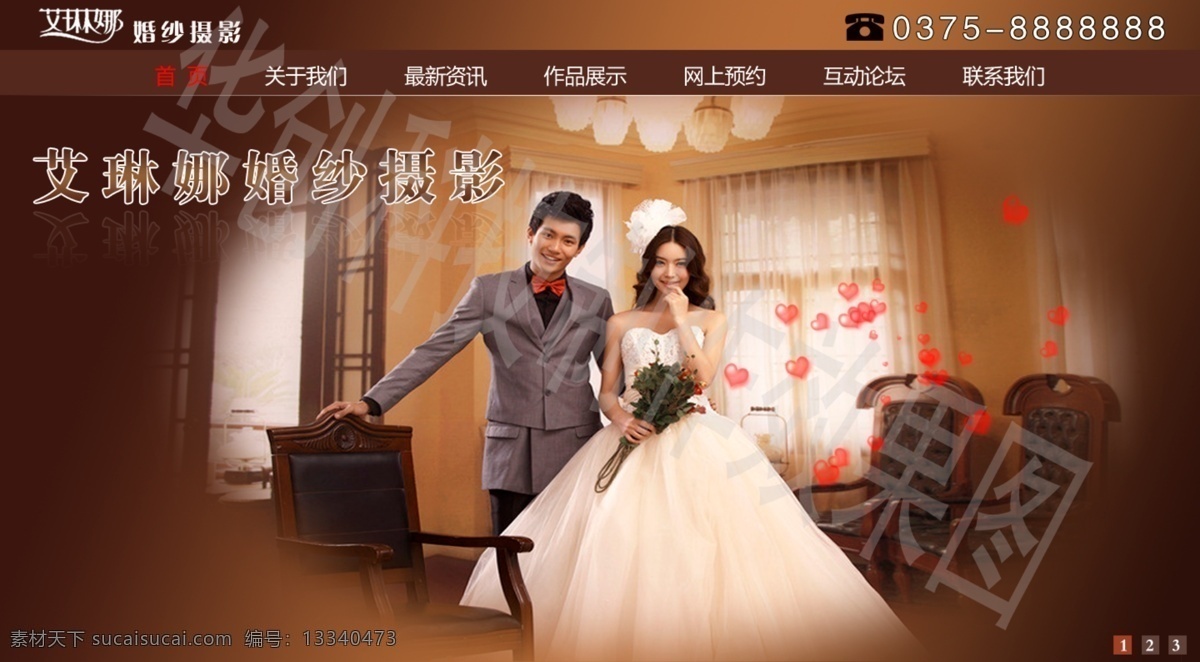 婚纱摄影模板 婚纱摄影 网页模板 咖啡色模板 源文件 中文模版 网站制作 艾琳娜模板 艾琳娜标志 网页素材