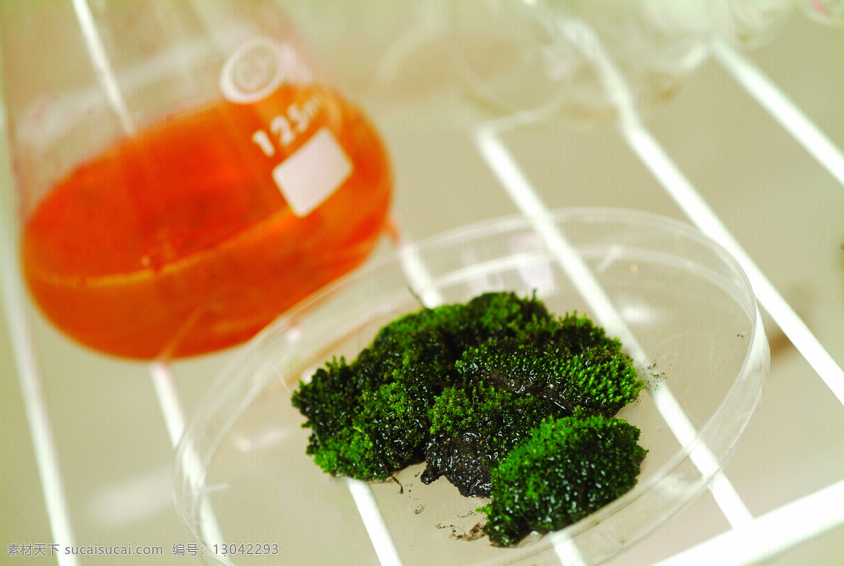 全球 首席 大百科 仪器 注射器 生化科技 化学物品 化学反应 试验品 医院医疗