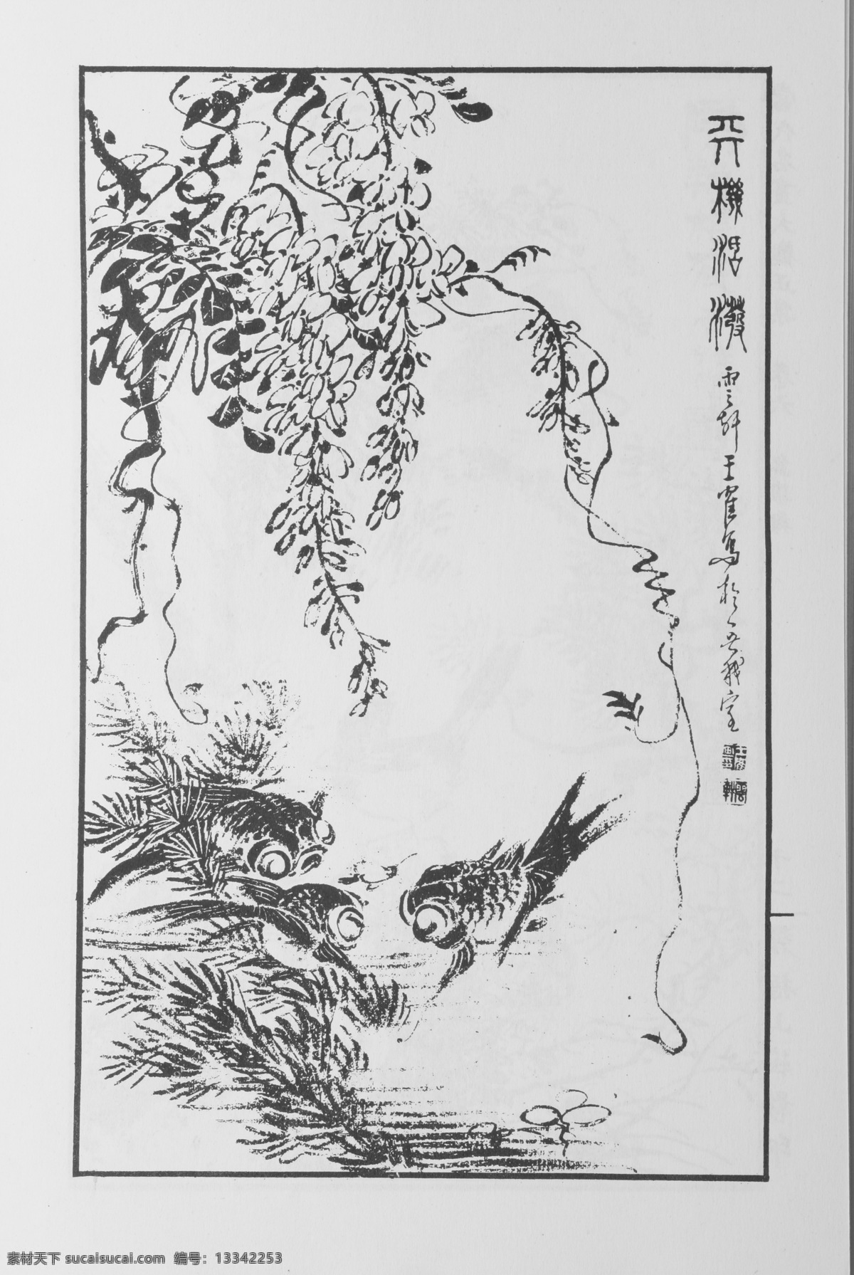 鸟兽画 中国画 当代 名画 大观 正 集 设计素材 动物画篇 中国画篇 书画美术 白色