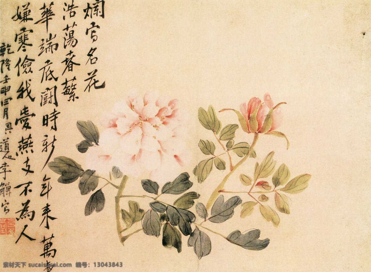 白色 牡丹 国画 花卉 书法 印章 中国画 装饰素材 室内装饰用图