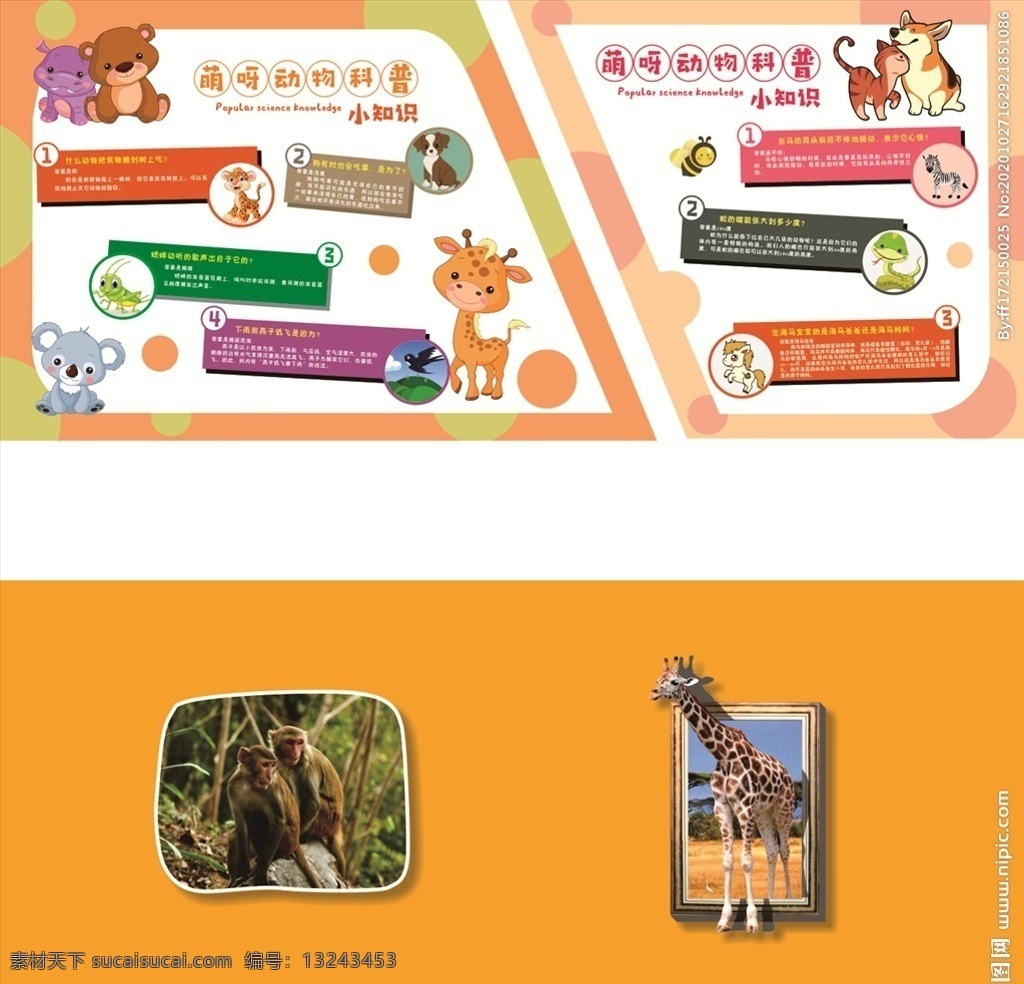 动物 科普 小 知识 动物科普知识 动物科普 科普知识 动物趣味问答 趣味问答