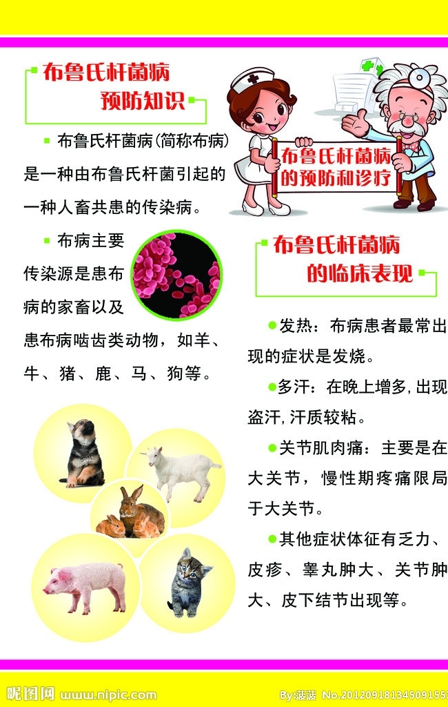 布鲁氏杆菌病 卡通人 卡通医生 狗 羊 猪 猫 兔 布鲁氏 展板 展架 分层 源文件