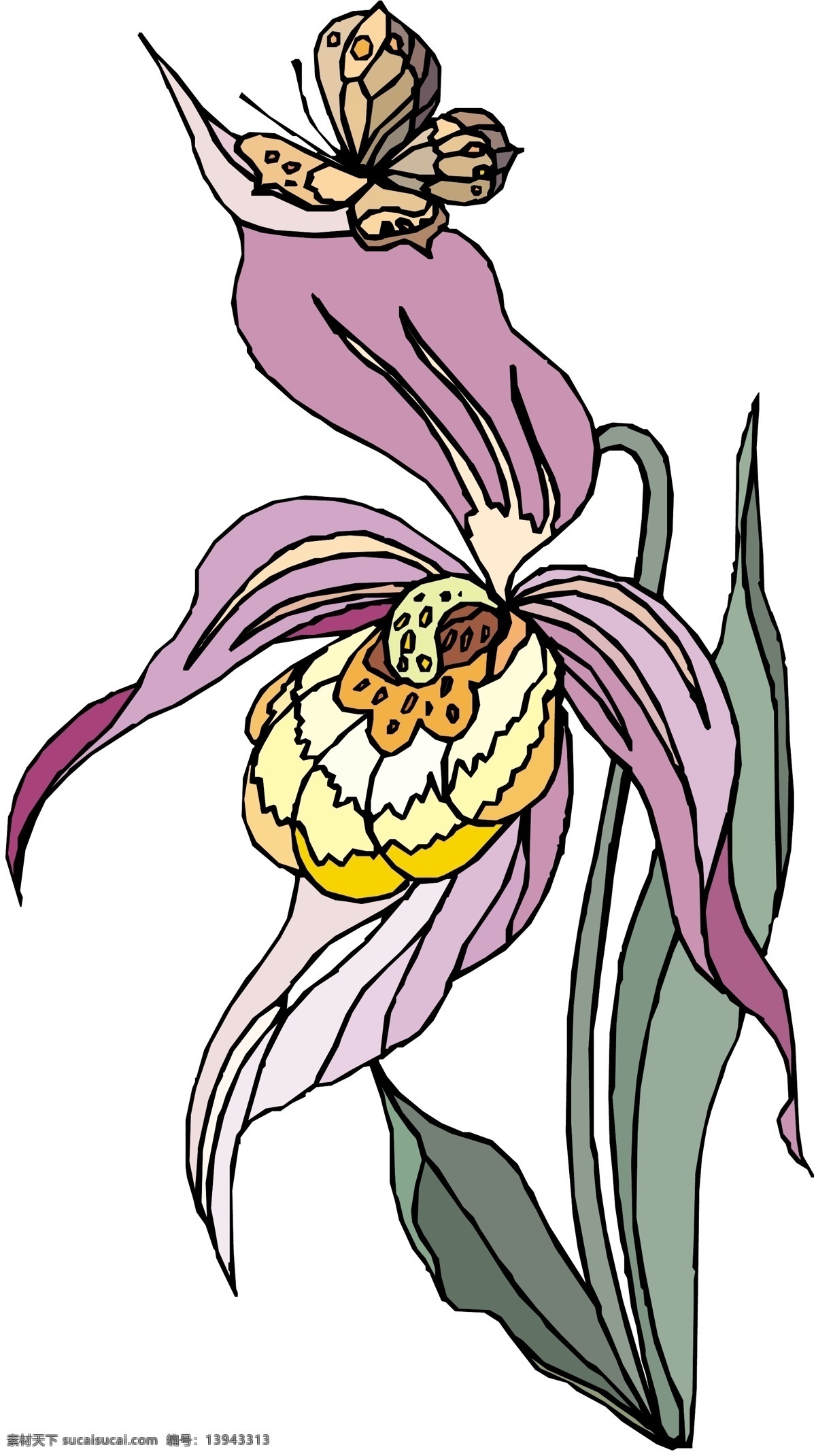 花朵 花草 鲜花 矢量 格式 eps格式 设计素材 花草世界 矢量植物 矢量图库 白色