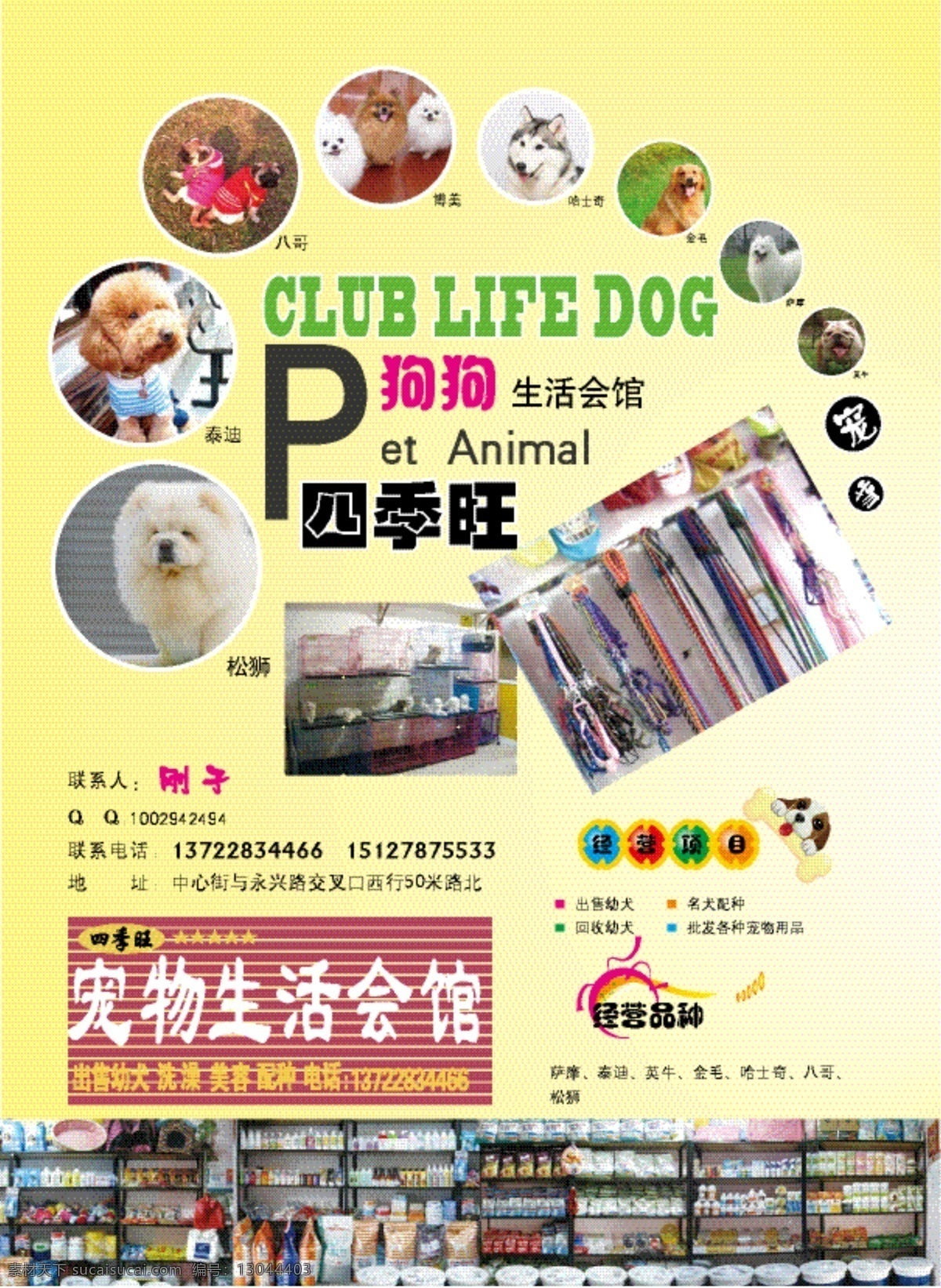 dm宣传单 宠物 狗狗 广告 杂志 狗 生活 会馆 矢量 模板下载 狗狗生活会馆 宠物食品 画册 其他画册整套