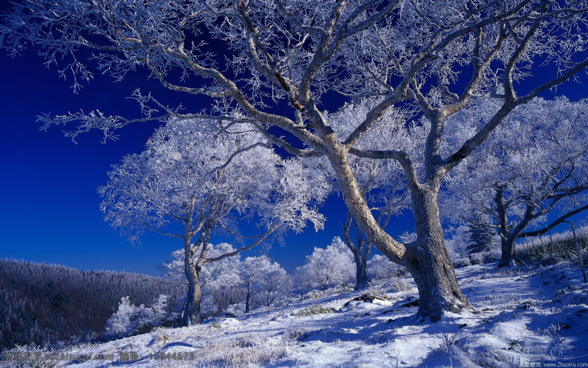 高清 冬天 雪花 桌面 背景 精美 电脑 桌面壁纸 高清晰 家居装饰素材 壁纸墙画壁纸