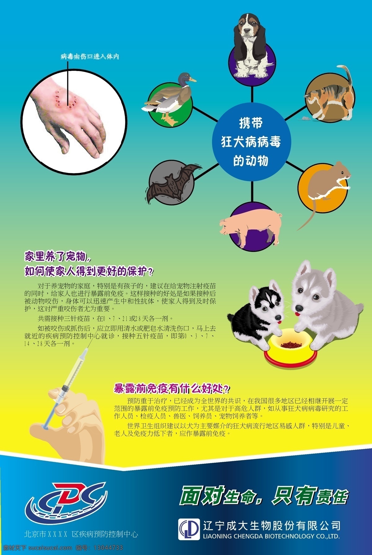 狂犬病知识 狂犬病 小狗 疾病预防 控制 中心 cdc 注射器 矢量图库
