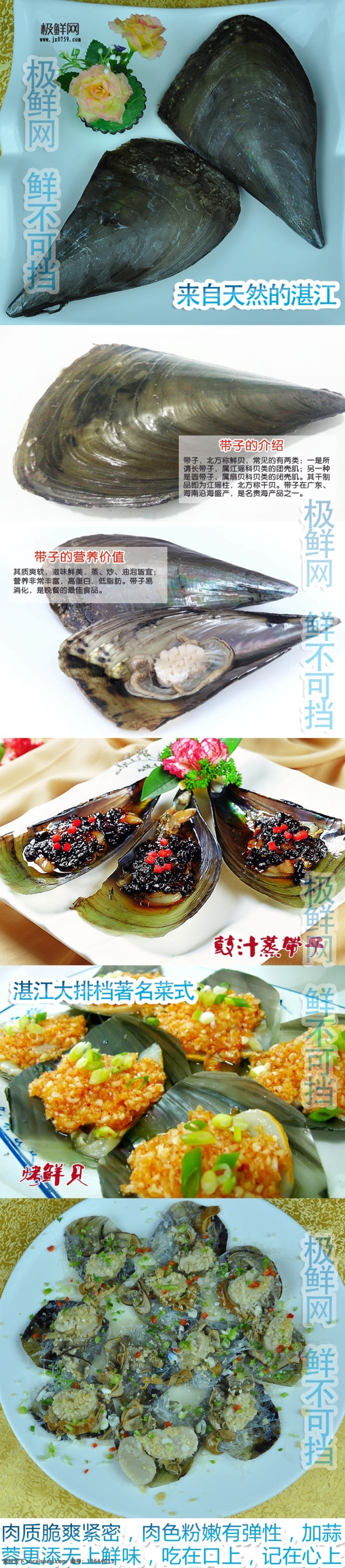 带子螺 宣传图 宣传栏 海鲜 宣传 海鲜宣传 带子螺宣传 设计图 横幅 直板宣传图 新鲜 海鲜作品
