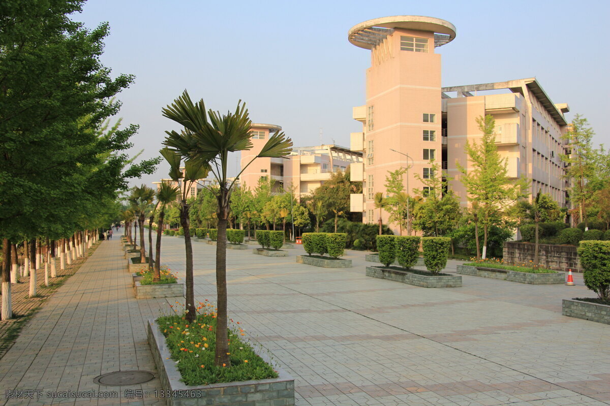 建筑 成都大学 景色 环境 校园 建筑园林 建筑摄影 灰色