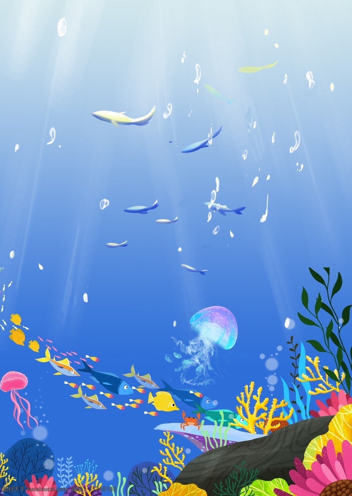 海底世界 海底 热带海底 热带鱼 海底鱼