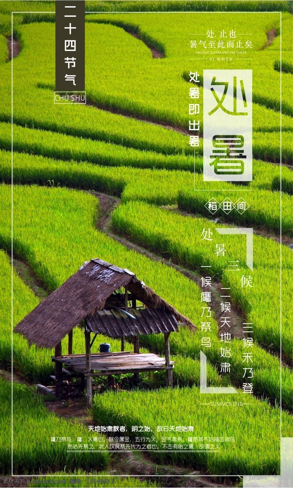 处夏海报 夏 绿 稻田 稻 田 山村 乡村 处夏 二十四节气 排版 山野 简洁 清新 创意