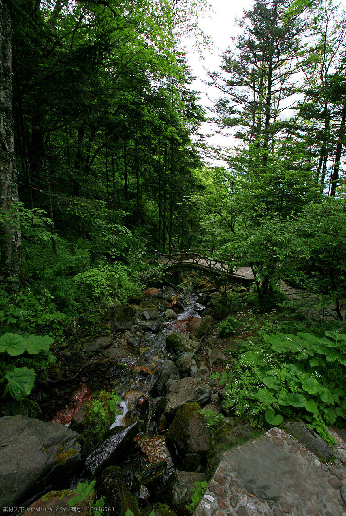 湖北 神农架 风景
