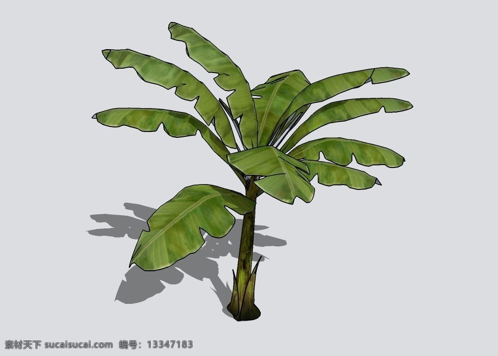 芭蕉3d模型 绿叶 绿枝 植物 三维 立体 skp模型 poss 造型 经典 装饰 精模 skp 精品 3d 模型 3d设计 其他模型