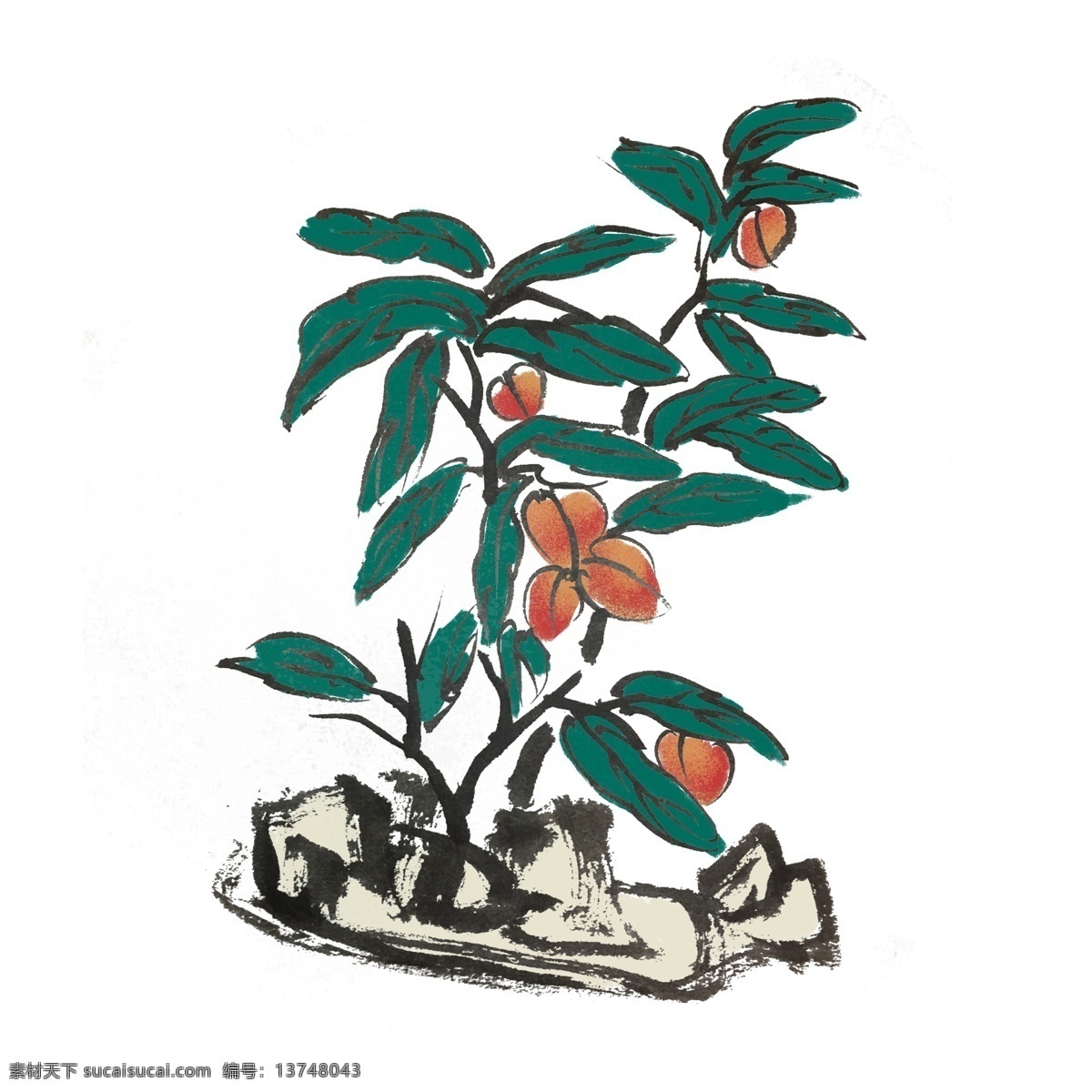 水墨 风 水果 李子 手绘 插画 夏季 夏天 中国风 古风 水墨风 墨迹 彩色 春天 生动 花草 国风 桃子