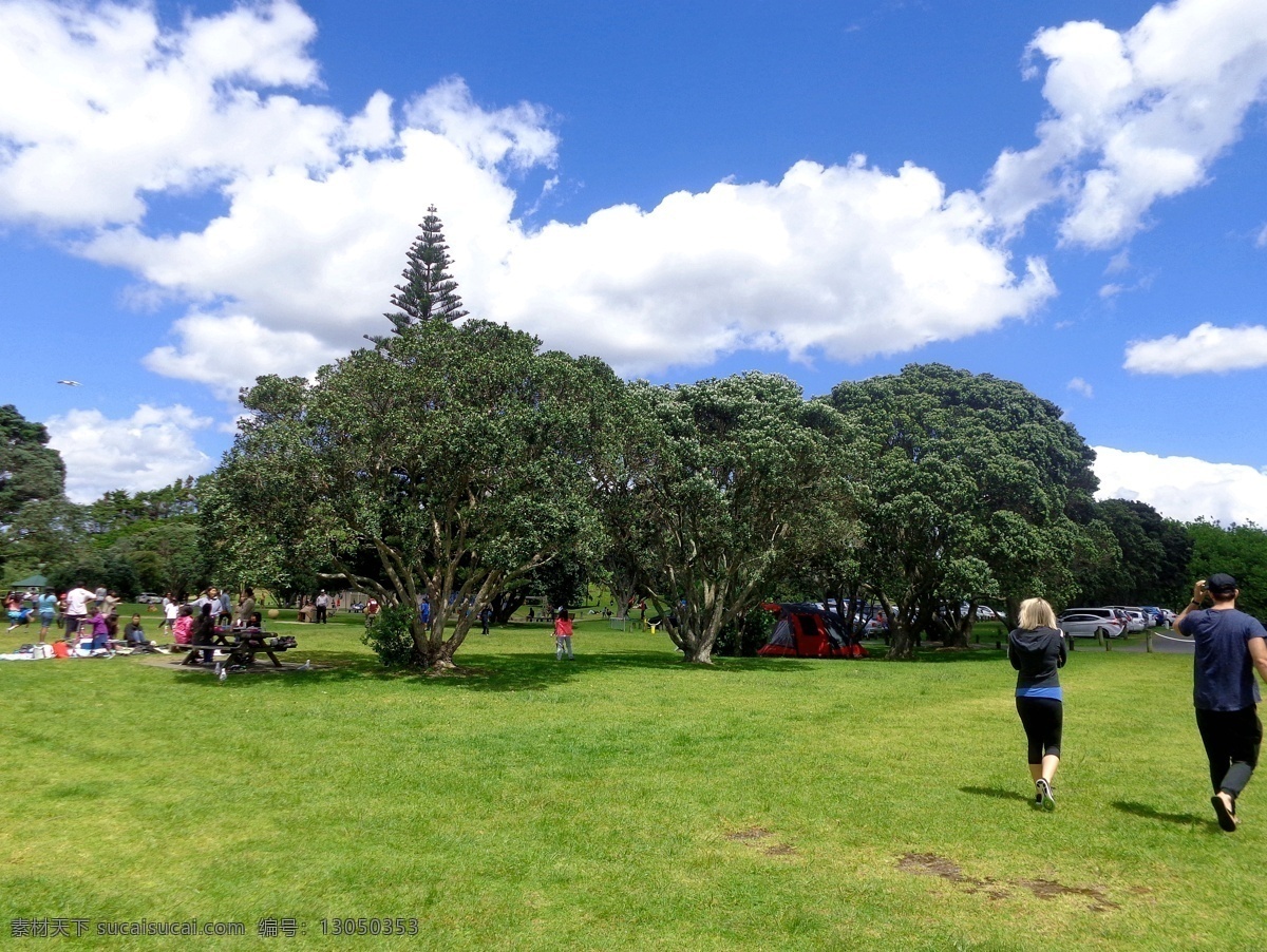 新西兰 海滨 公园 风景 蓝天 白云 海滨公园 绿树 绿地 草地 游人 散步 休闲 风光 旅游摄影 国外旅游