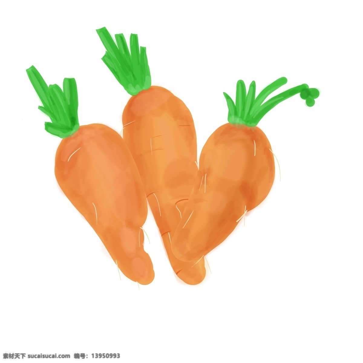 蔬菜 红萝卜 分割线 插画 红萝卜分割线 美食食材萝卜 绿跟装饰 装饰