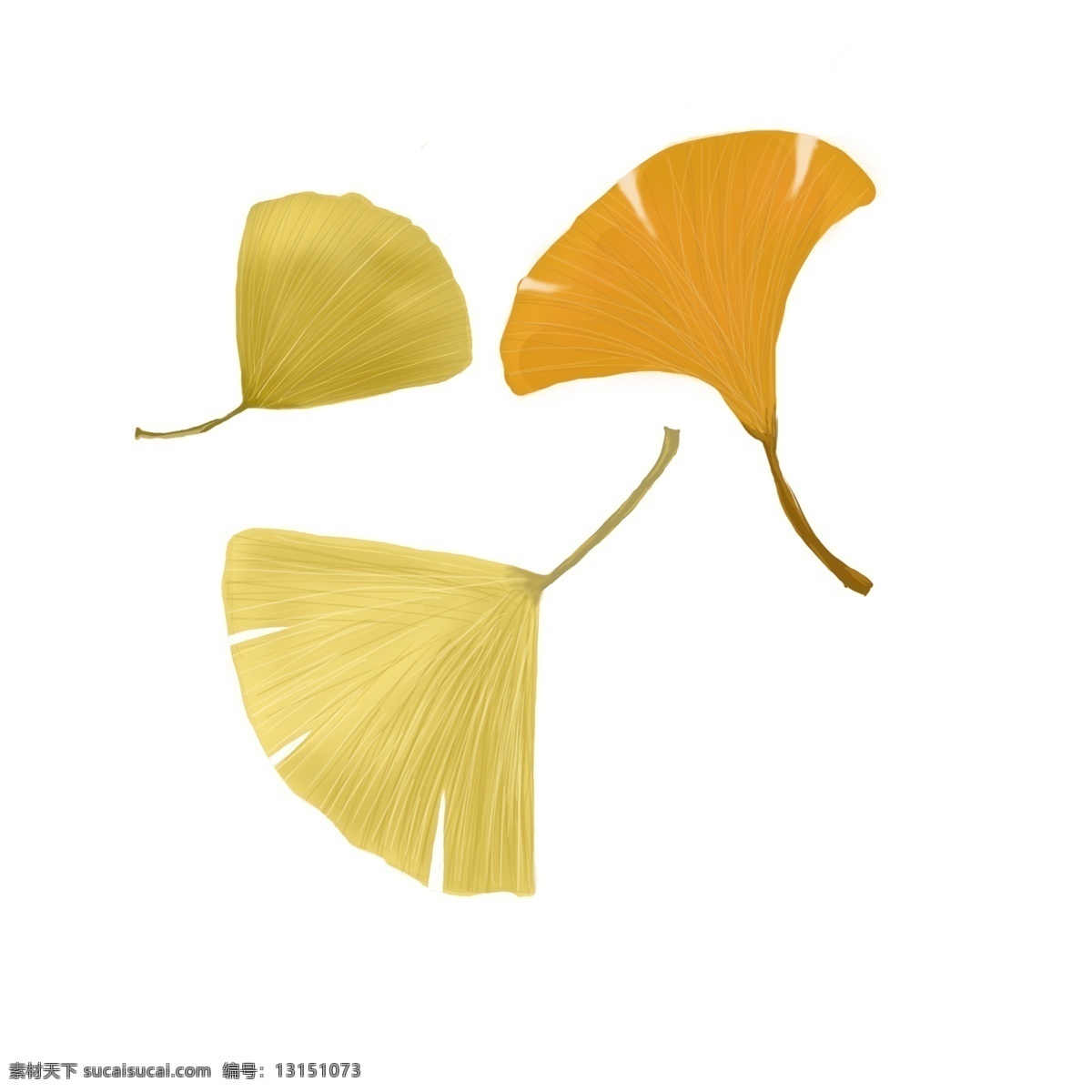 秋天 飘落 枫叶 元素 商用 黄色 丰收季节 思念
