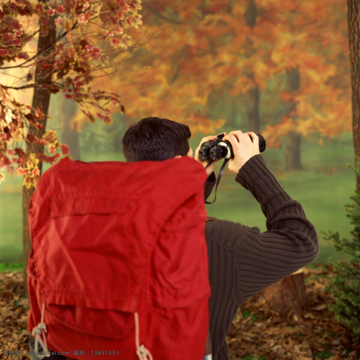 望远镜 男人 外国男人 背影 落叶 树叶 树 看 生活人物 人物图片