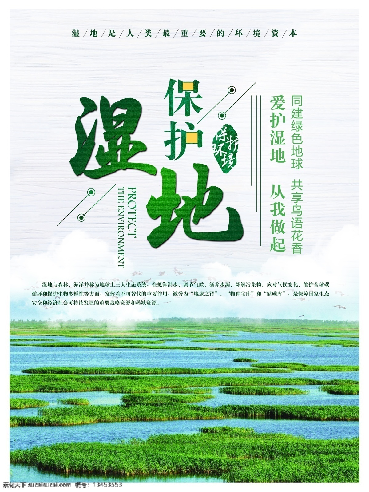 绿色 保护 湿地 节 保护湿地 环保 湿地节