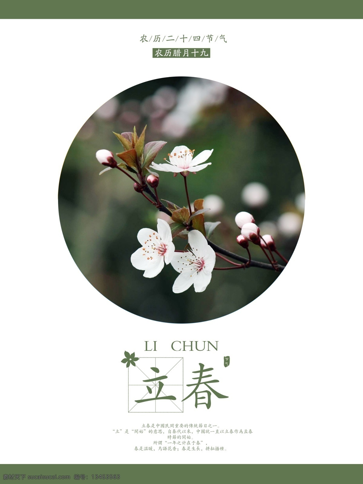 二十四节气 立春 绿色 文艺 清新 宣传海报 海报 宣传