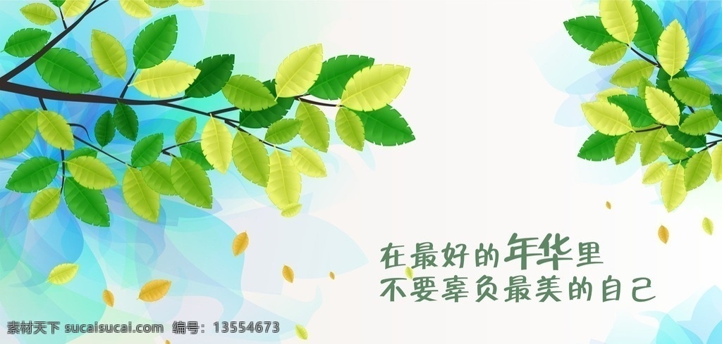 叶子 树叶 节日 阳光叶子 透明 天空叶子 文化艺术 节日庆祝