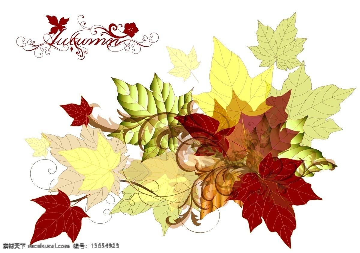 手绘 秋季 红 枫叶 矢量 装饰 图案 叶子 红色 秋天 装饰图案