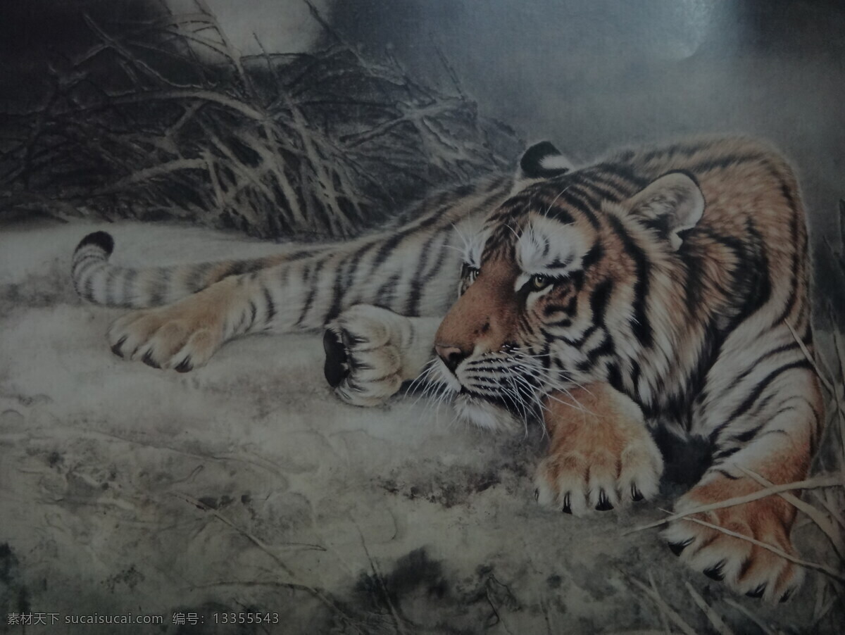 工笔国画虎 工笔画 艺术 国画 老虎 绘画 绘画书法 文化艺术