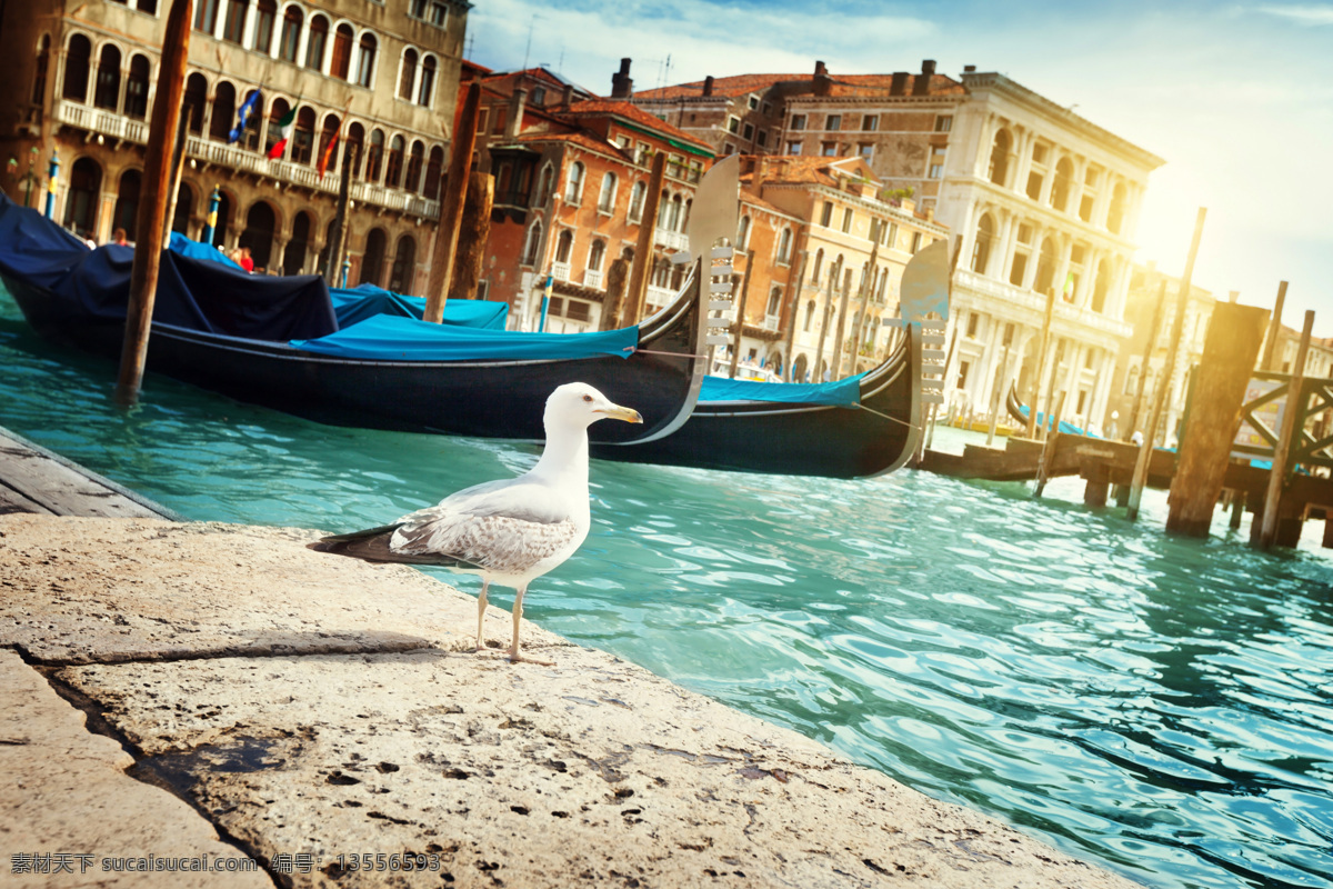 威尼斯 船 建筑 景色 城市建筑 海边城市风景 建筑景观 欧洲建筑 城市风光 环境家居
