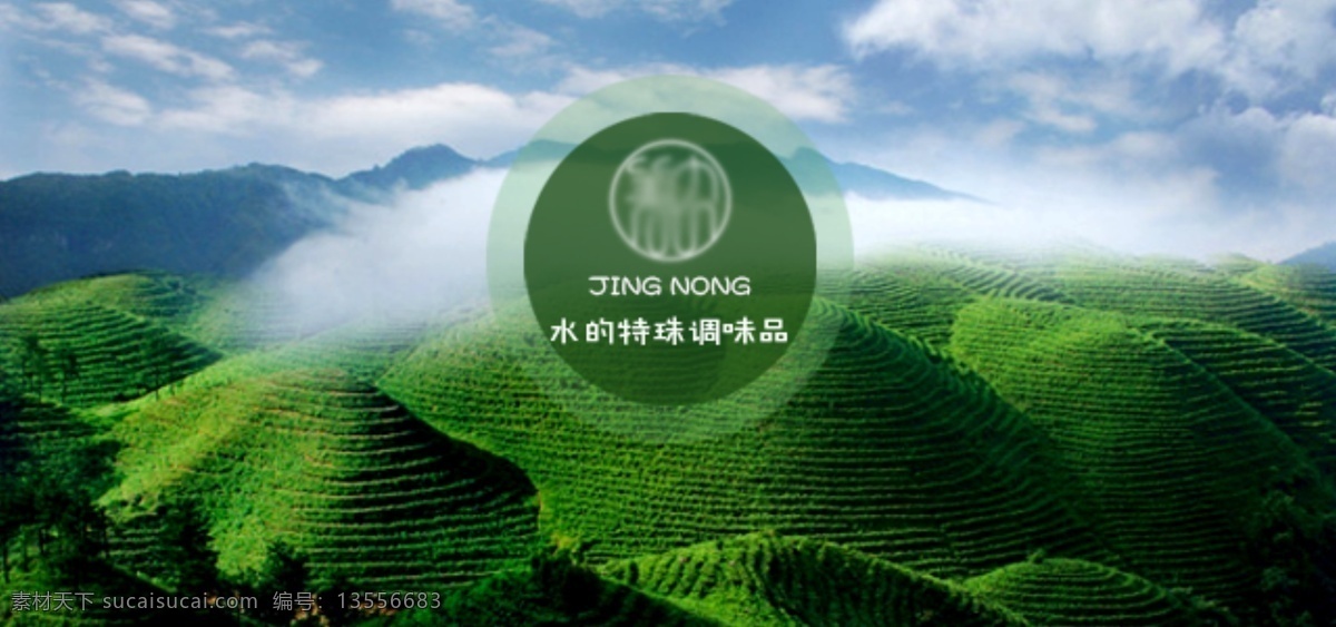 绿色 茶叶 banner 图 大气 茶山 干净 黑色