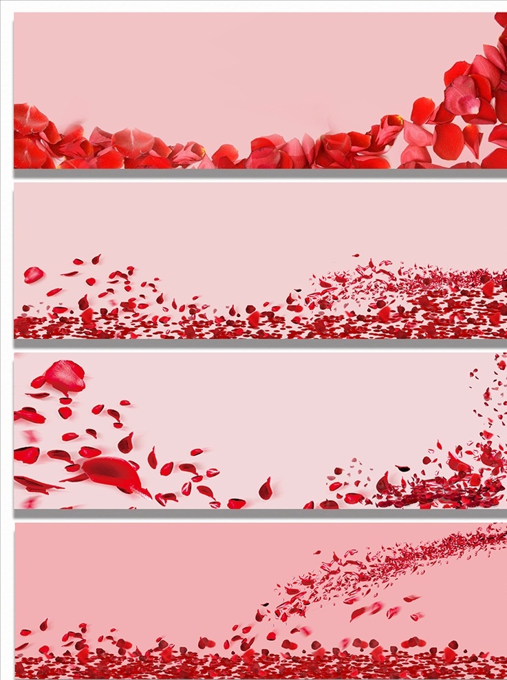 玫瑰花素材 花瓣素材 玫瑰花 花瓣 张二娃 花