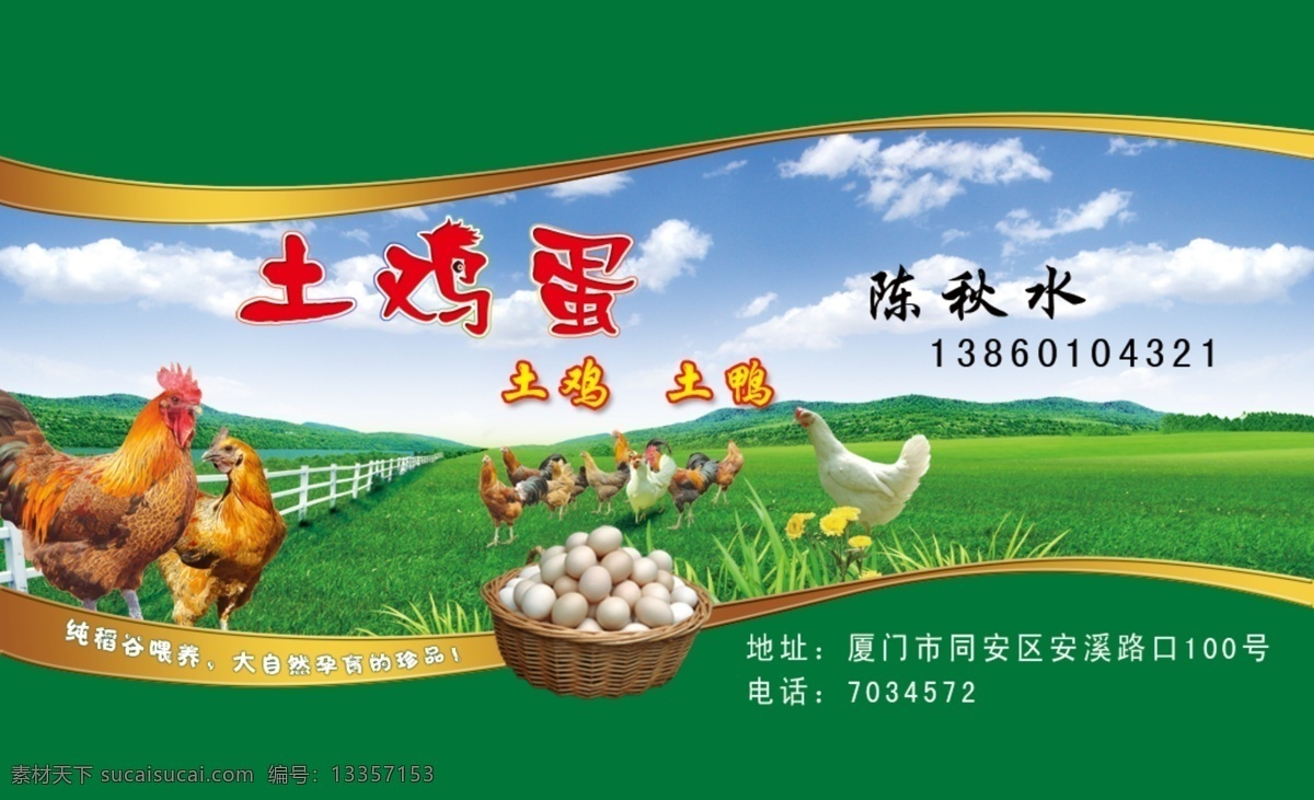 土鸭蛋土鸡蛋 土鸭 土鸡 蓝天白云 草地 家禽 名片卡片 广告设计模板 源文件