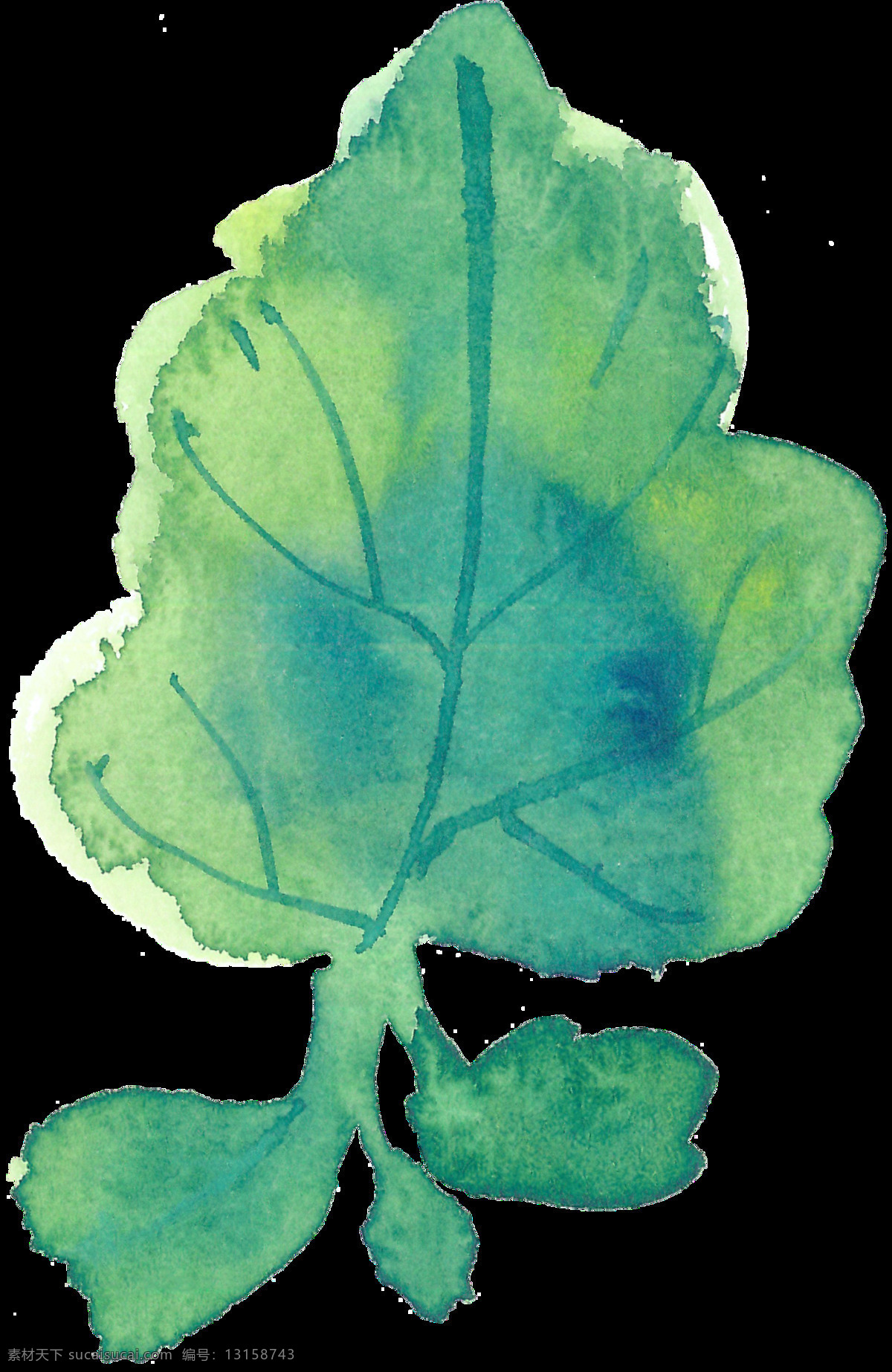 翡翠 绿叶 透明 植物 青菜 透明素材 免扣素材 装饰图案