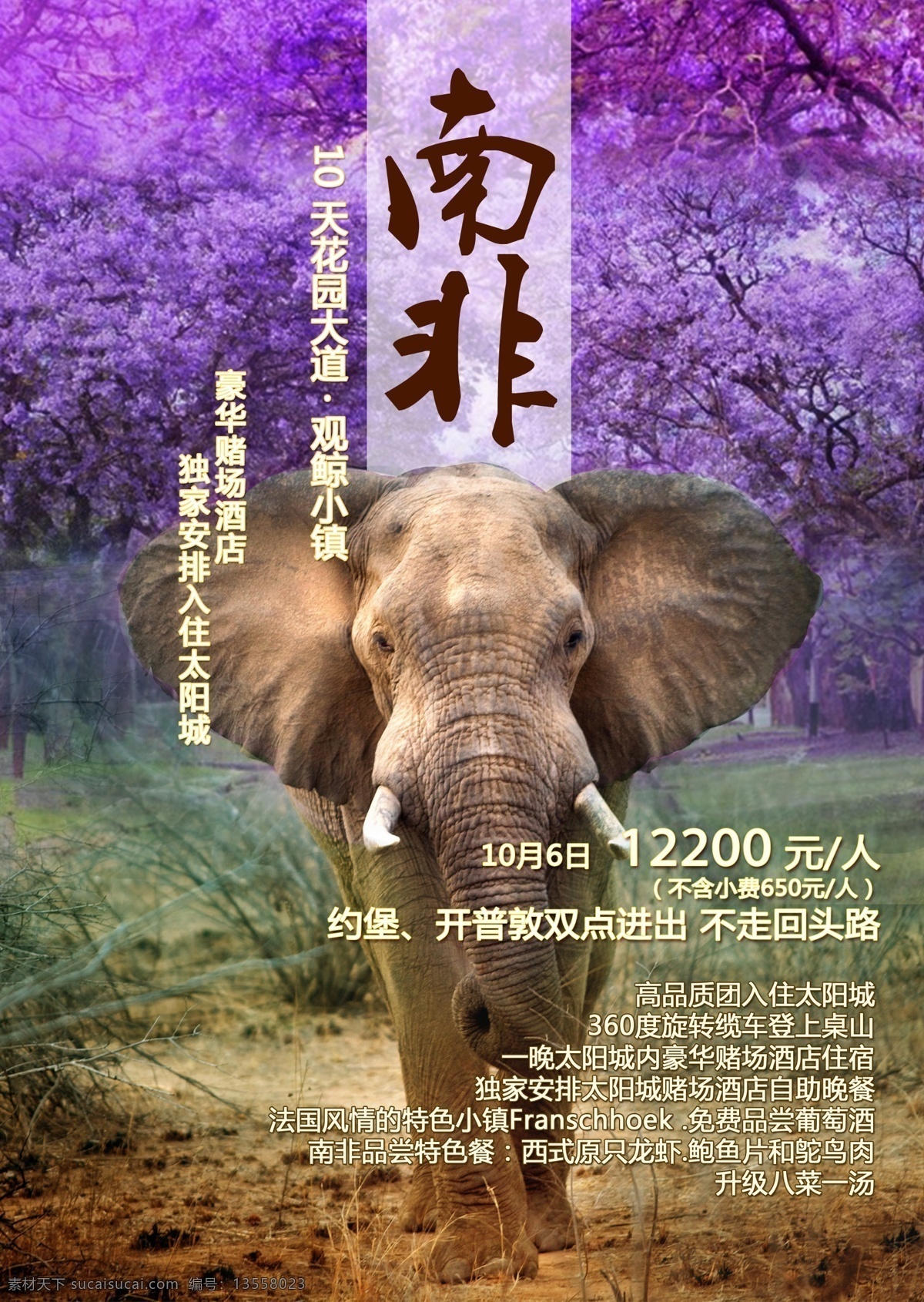广告 南非 大象 紫薇 花 紫薇花 旅游 团期