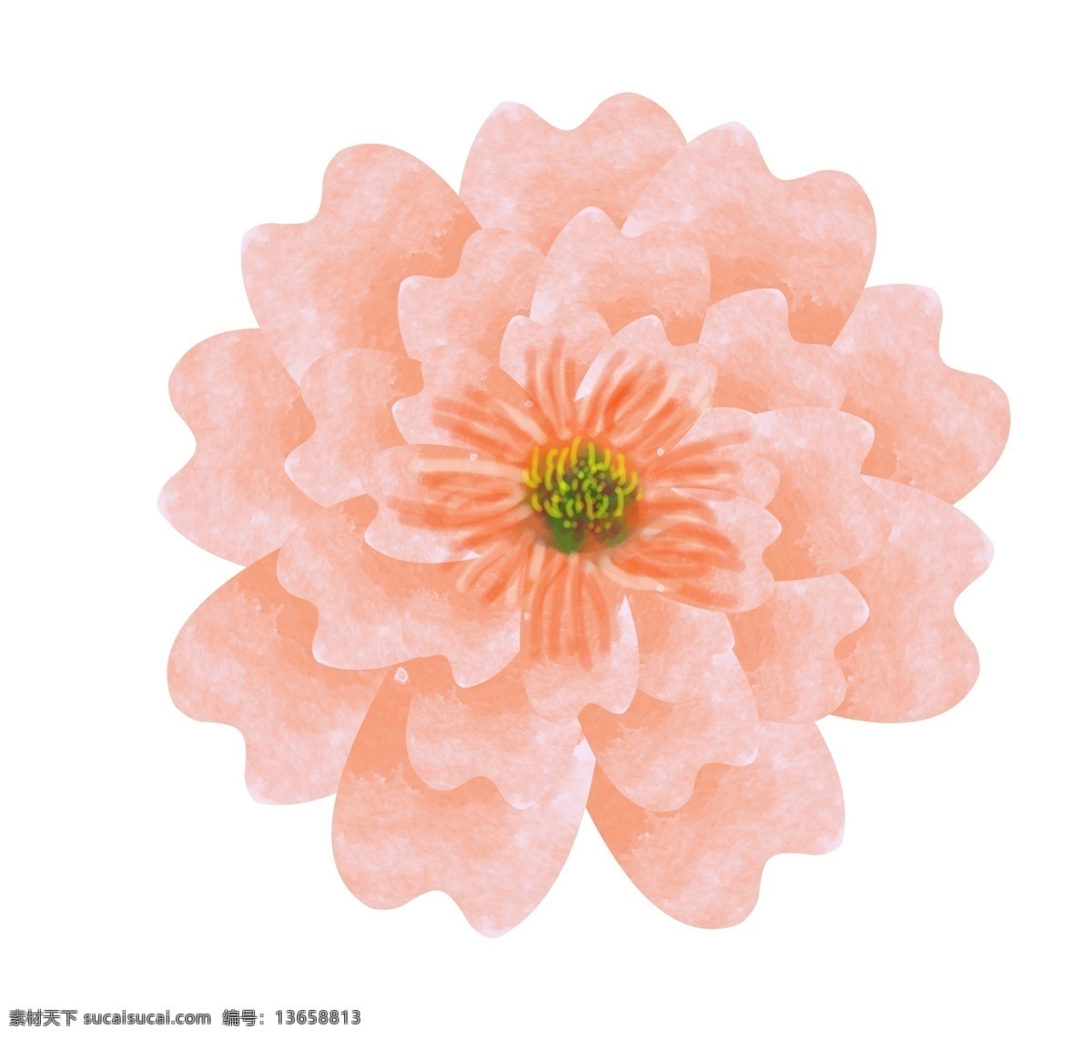 粉色 花朵 装饰 插画 粉色的花朵 漂亮的花朵 创意花朵 立体花朵 精美花朵 卡通花朵 春季花朵