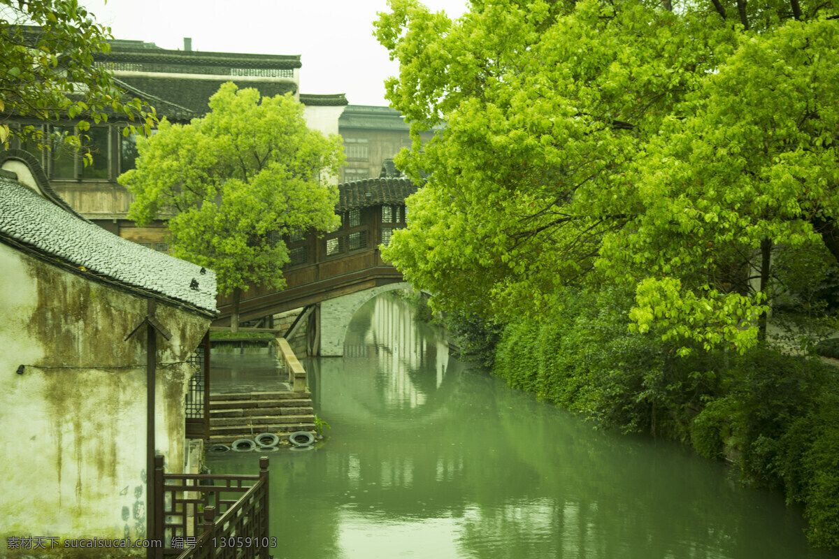 乌镇 清晨 绿意 江南 小桥流水 旅游摄影 国内旅游