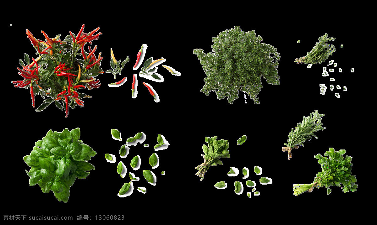 创意 绿色植物 元素 png元素 环保 净化 绿色 免抠元素 透明素材 小草 药材 植物