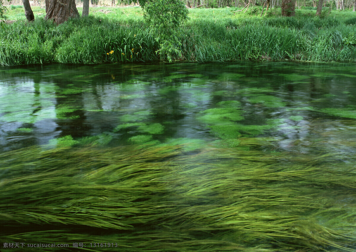 小溪 山水风景 春色 绿色