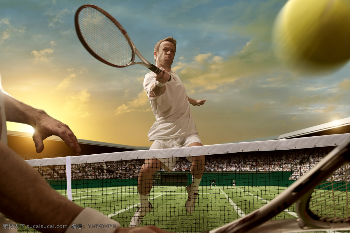 网球 运动 网球运动 体育运动 运动项目 体育项目 运动员 生活百科