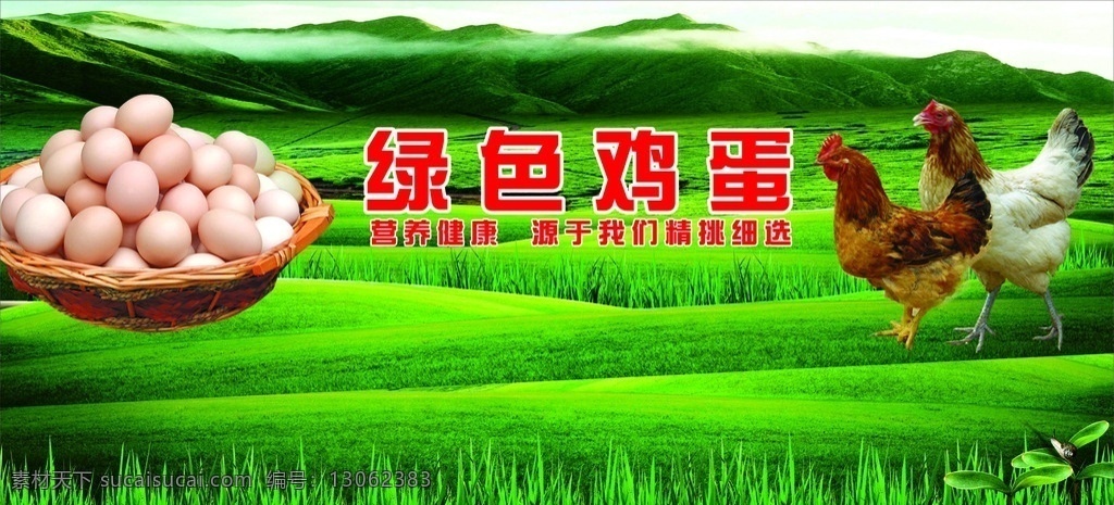 优选 鸡蛋 销售区 蛋 禽蛋 销售 跑山鸡 散养鸡 放养鸡 pub 展板模板