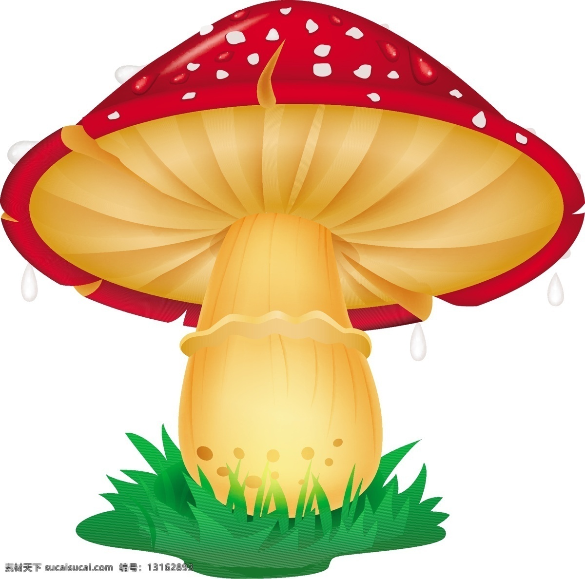 蘑菇设计 矢量蘑菇 蘑菇素材 卡通蘑菇 菌子 菌 卡通菌 矢量菌 矢量菌子