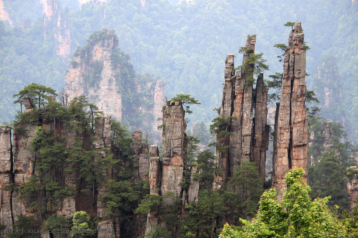 森林公园 张家界 武陵园 风景名胜 山 峡谷 树 旅游拍照 旅游摄影 国内旅游