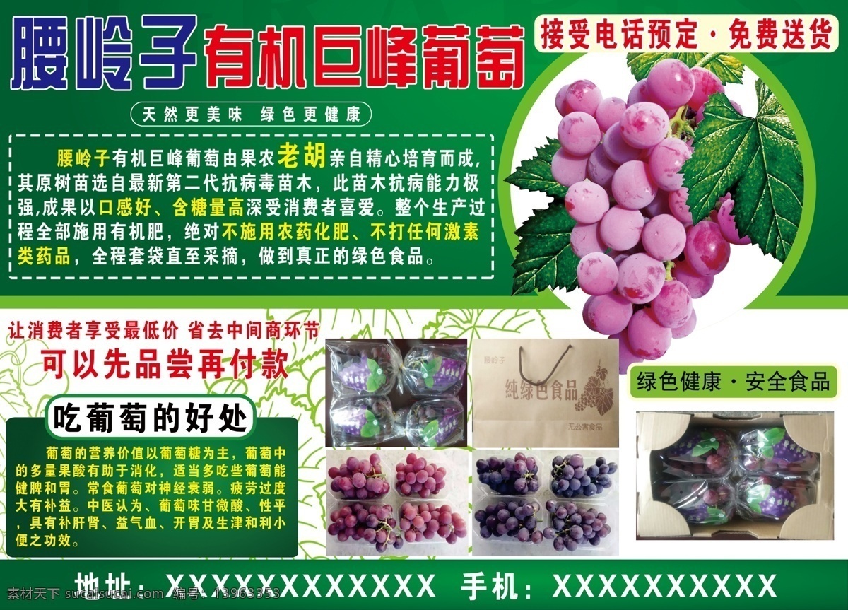 葡萄园海报 葡萄 绿色背景 葡萄的好处 巨峰葡萄 方正大黑字体 海报 报纸 dm单
